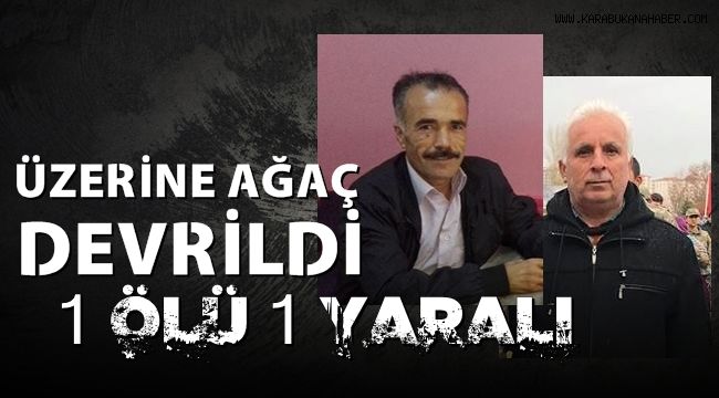 Orman işçilerinin üzerine ağaç devrildi: 1 ölü, 1 yaralı