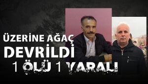 Orman işçilerinin üzerine ağaç devrildi: 1 ölü, 1 yaralı