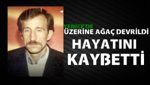 Yenice'de üzerine ağaç devrilen orman işçisi öldü