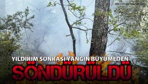 Yıldırım düşmesi sonrası çıkan yangınlar büyümeden söndürüldü