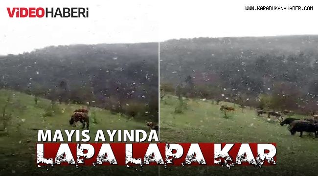 Mayıs ayında lapa lapa yağan kar şaşırttı