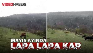 Mayıs ayında lapa lapa yağan kar şaşırttı