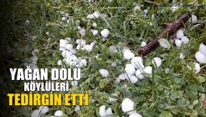 Mayıs ayında yağan dolu, köylüleri tedirgin etti