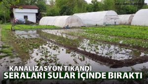 Tıkanan kanalizasyon, seraları sular altında bıraktı