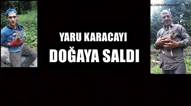 Yavru Karaca'yı kesmekten son anda kurtararak doğaya saldı