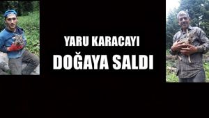 Yavru Karaca'yı kesmekten son anda kurtararak doğaya saldı