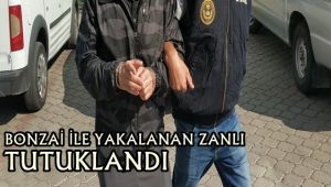 Bonzai ile yakalanan zanlı tutuklandı