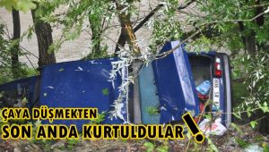 Çaya uçmaktan ağaçlar kurtardı