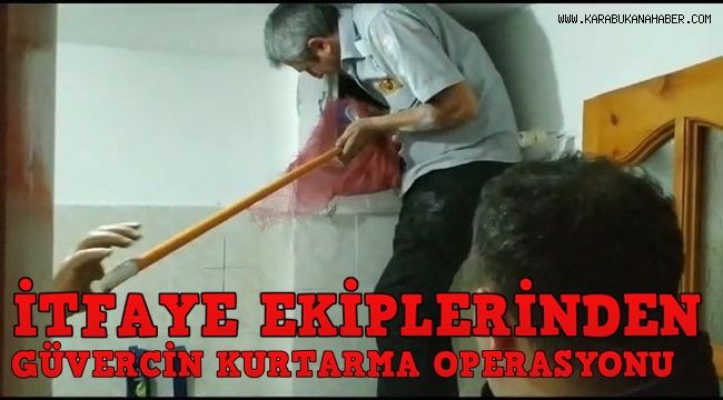 İtfaiye ekiplerinden güvercin kurtarma operasyonu