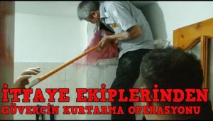 İtfaiye ekiplerinden güvercin kurtarma operasyonu