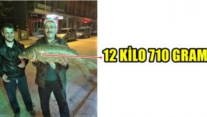 Olta ile yakaladığı 12 kilo 710 gramlık sazanı güçlükle çıkartabildi