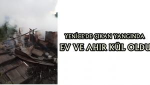 Yenice'de çıkan yangında ahşap ev ve ahır kül oldu