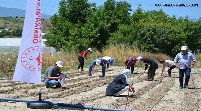 Yöreye özgü fasulye tohumları toprakla buluştu