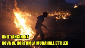 Anız yangınına kova ve hortumla müdahale ettiler