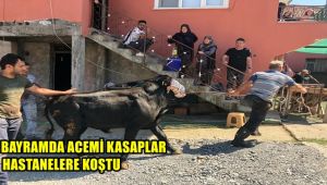 Bayramda acemi kasaplar hastanelere koştu