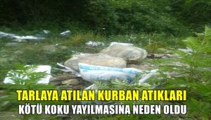 Boş tarlaya atılan kurban atıkları kötü kokulara neden oldu