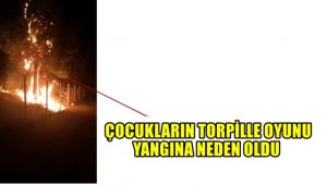 Çocukların torpille oyunu yangına neden oldu