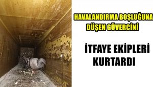 Havalandırma boşluğuna düşen güvercini itfaiye kurtardı