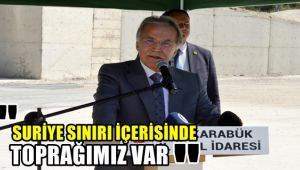 Şahin: