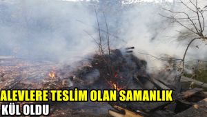 Alevlere teslim olan samanlık kül oldu
