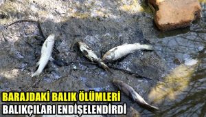 Barajdaki balık ölümleri balıkçıları endişelendirdi