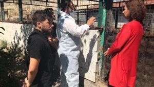 Başkan Köse'den hayvan barınağında inceleme
