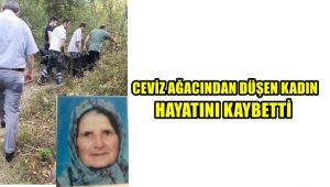 Ceviz ağacından düşen yaşlı kadın hayatını kaybetti