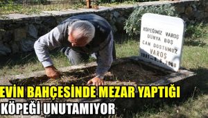 Evinin bahçesinde mezar yaptığı köpeğini unutamıyor