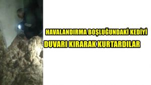 Havalandırma boşluğundaki kediyi duvarı kırarak kurtardılar