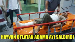 Hayvan otlatan adama ayı saldırdı