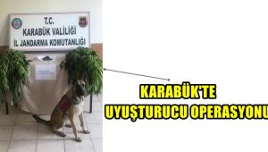 Karabük'te uyuşturucu operasyonu