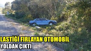 Lastiği fırlayan otomobil yoldan çıktı