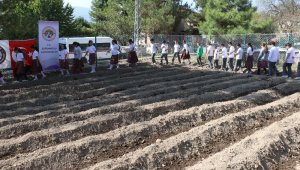 Safran öğrencilerin eliyle toprakla buluştu