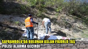 Safranbolu'da bulunan aslan figürlü taş polisi alarma geçirdi