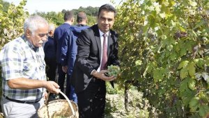Safranbolu'da
