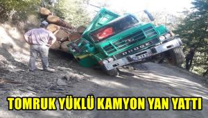 Tomruk yüklü kamyon yan yattı