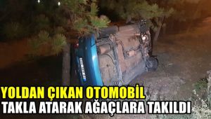 Yoldan çıkan otomobil takla atarak ağaçlara takıldı