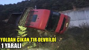 Yoldan çıkan tır devrildi : 1 yaralı