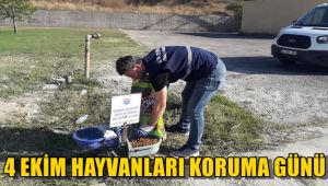 4 Ekim Hayvanları Koruma Günü