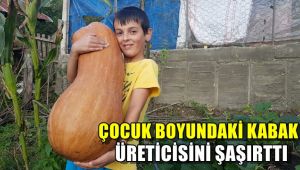 Çocuk boyundaki kabak, üreticisini şaşırttı