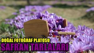Doğal fotoğraf platosu