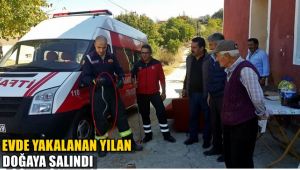 evde yakalanan yılan doğaya salındı
