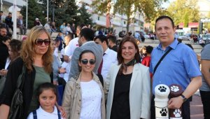 Hayvanseverler sokak hayvanları için toplandı
