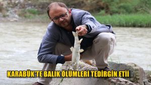 Karabük'te balık ölümleri tedirgin etti