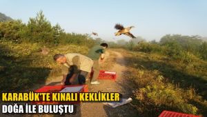 Karabük'te Kınalı Keklikler doğayla buluştu