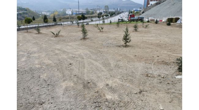 Karabük'te ağaçlandırma çalışması