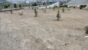 Karabük'te ağaçlandırma çalışması