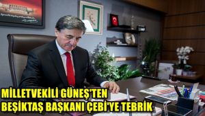 Milletvekili Güneş'ten, Beşiktaş Başkanı Çebi'ye tebrik