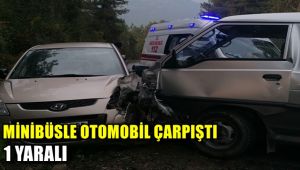 Minibüs ile otomobil çarpıştı : 1 yaralı
