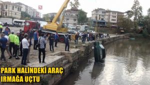 Park halindeki araç ırmağa uçtu